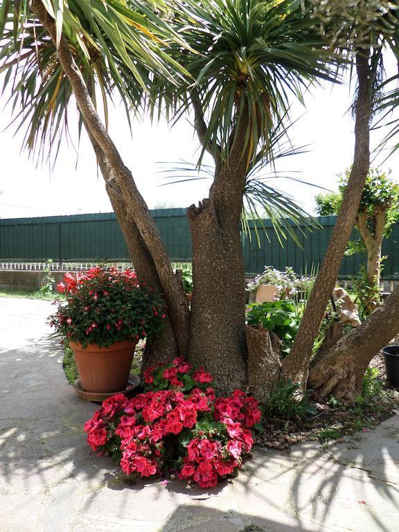 B&B Villino Lory Marino Bagian luar foto