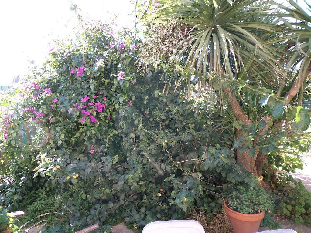 B&B Villino Lory Marino Bagian luar foto